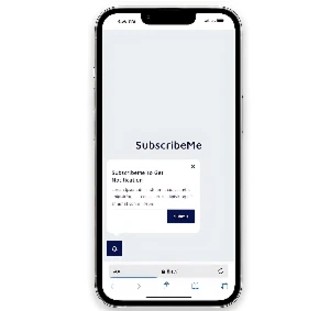 SubscribeMe - Fully Responsive - Outros