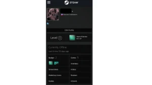 CONTA STEAM - MEDALHAS RARAS! CRIADA HÁ 19 ANOS! DESDE 2007!