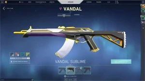 CONTA VALORANT - MUITAS SKINS (R$563 GASTOS) - Warface