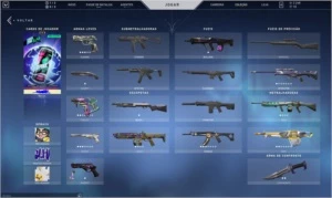 Conta Valorant Com algunas skins + 2.200 de VP