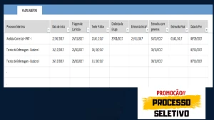 Planilha para Processo Seletivo - Outros