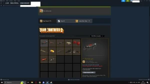 Conta Quase 3 Anos Steam 400 Horas Cs Go Com Prime - Counter Strike