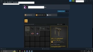 Conta Cs Go Quase 1K Horas, 3 Anos Steam, Inventario - Counter Strike