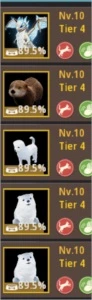 Black Desert SA Striker 289 kutum!