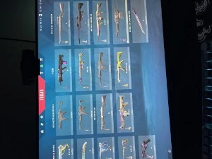 14 CONTAS NFA VALORANT BR 1 - 40 SKINS