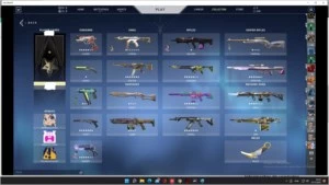 Conta Valorant 1.7k gasto (IMT)