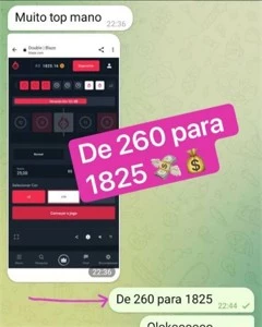 VIP Blaze - Double 100% BRANCO - GAMESHARK - Serviços Digitais