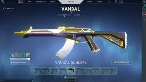 conta valorant ( sublime,ion,saqueadora e outras) 1200 gasto