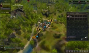 BLACK DESERT SA - LvL 57 Beserk - Outros