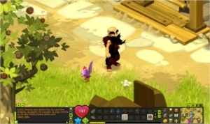 Conta Com eniripsa e enutrof omega 11 e com set -crocabulia- - Dofus