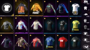 Conta De Free Fire Masc/Fem Nivel 70 | Prime 5 | Com Ump Att
