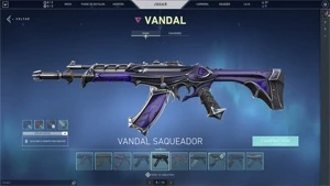 Conta valorant com mais de 2300 gastos