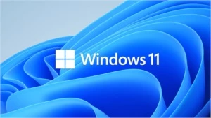 Windows 11 Pro 22000.556 - Softwares and Licenses