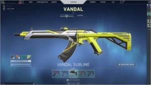 Conta valorant (Bundle saqueador, e mais)