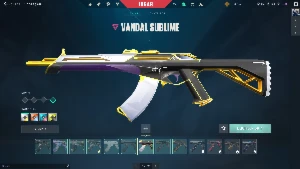 Único Dono, Skins Variadas De Faca, Vandal, Phantom. Prata - Valorant