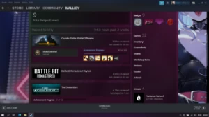Conta csgo prime ak cruzada - Counter Strike
