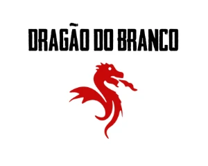 GRUPO VIP DRAGÂO DO BRANCO SINAIS CERTEIROS - Outros