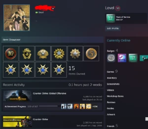 Contas steam 17 anos de serviço Prime com medalhas de 2015+ - Counter Strike CS