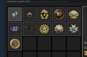 Contas steam 17 anos de serviço Prime com medalhas de 2015+ - Counter Strike CS