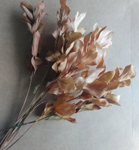 Ruscus Desidratados - Envelhecidos em tons de terracota - Artesanato e Personalizados
