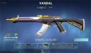 VENDO CONTA VALORANT ION, DRAGAO, NERF, ONI, GLITCHPOP