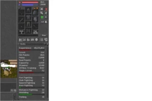 level 144 druid - magera - Tibia
