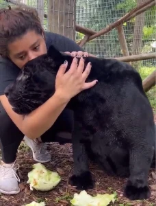 +2.000 Cortes e Vídeos Virais Lucrativos ⭐⭐⭐⭐⭐ - Outros