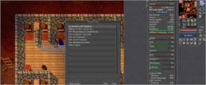 SORCERER 137 VUNIRA E SORCERER 93 QUINTERA - Tibia