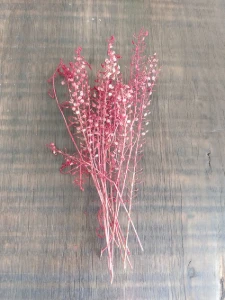 Galhos de Sementinhas de 15cm (20 unidades) - Artesanato e Personalizados