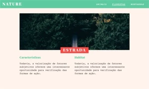 Web Design, UX/UI Design, HTML, CSS, JavaScript e React - Cursos e Treinamentos