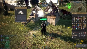 Conta Black desert