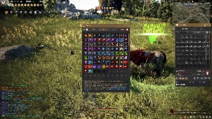 Conta Black desert