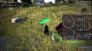 Conta Black desert