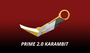 Conta Nfa Com Karambit Prime 2.0 - Valorant