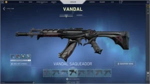 CONTA VALORANT R$ 700,00 GASTOS EX RADIANTE