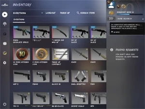 CSGO PRIME SKIN DE FACA E ARMAS LVL 15 GC PRATA4 18 ANOS - Counter Strike