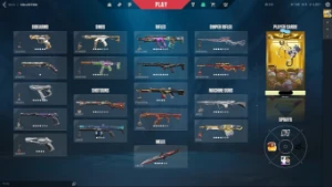 Conta Valorant com 42 skins sem ser de passe,champions but 