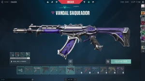 Conta De Valorant, Ex Radiante