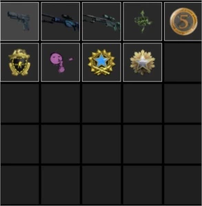 Conta Steam Level 24, 8 Anos, 70 Jogos, Csgo Prime