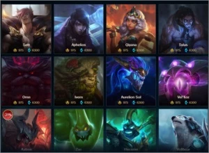 Conta League of Legends (Todas as Skins na Descrição) LOL