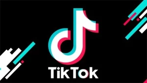 VIZUALIZAÇÃO TIKTOK - Redes Sociais