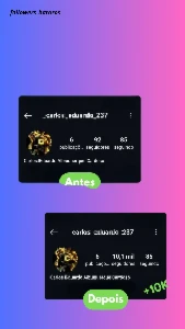 Seguidores do Instagram - Redes Sociais