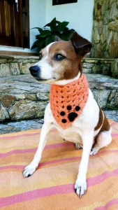 Bandana Pet em Crochê - Artesanato e Personalizados
