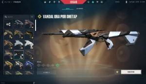 Conta Valorant com pacotes champions 2022,2023,2024 FULL ACS