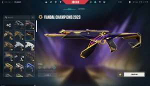 Conta Valorant com pacotes champions 2022,2023,2024 FULL ACS