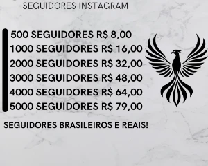 🇧🇷 𝗦𝗘𝗚𝗨𝗜𝗗𝗢𝗥𝗘𝗦 𝗕𝗥𝗔𝗦𝗜𝗟 𝗜𝗡𝗦𝗧𝗔 🇧🇷