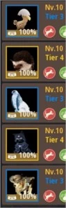 WIZZARD 276/320 KUTUM BDO SA - Black Desert