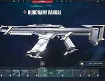 Conta valorant muitas skins