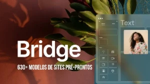 Tema Bridge WordPress GPL + Atualizações