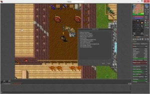 ED 136 + RP 89 com premium e voucher - Tibia